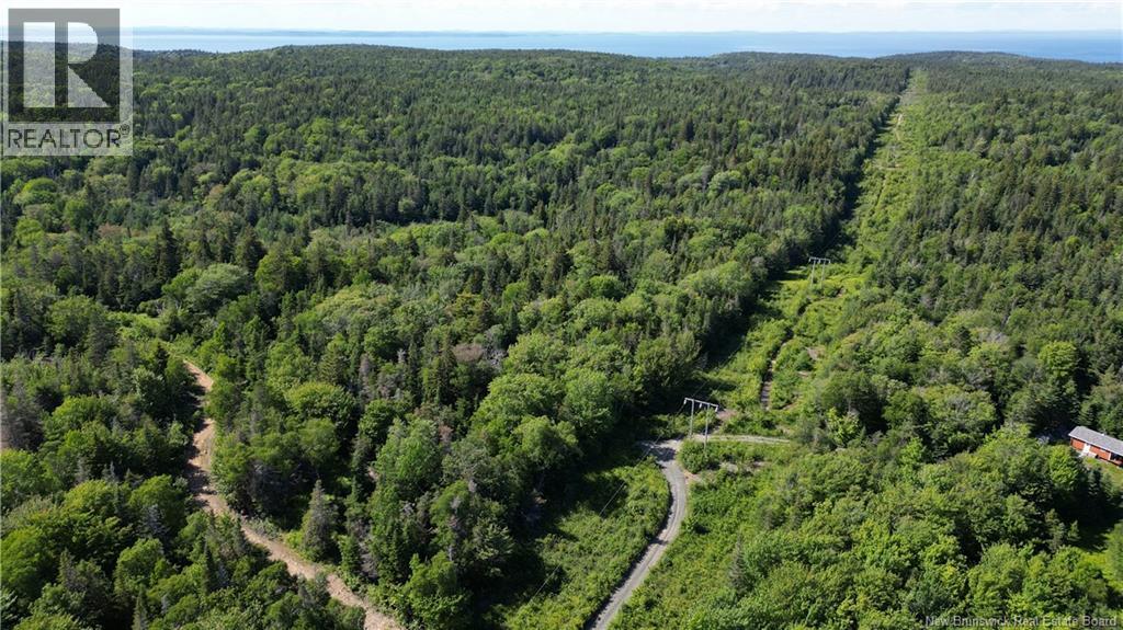 Land Stanley Brook, Grand Manan, New Brunswick E5G 1L8 - Photo 8 - NB143148