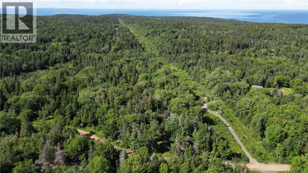 Land Stanley Brook, Grand Manan, New Brunswick E5G 1L8 - Photo 9 - NB143148