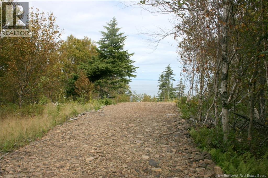 Lot 04-08 Seven Days Work Drive, Grand Manan, New Brunswick  E5G 1B4 - Photo 4 - NB148419