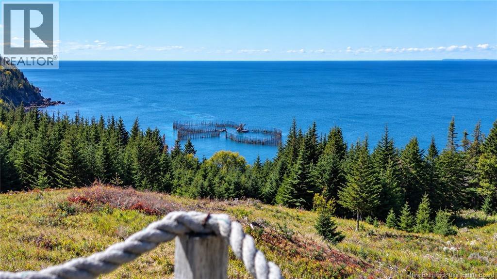Off Route 776, Grand Manan, New Brunswick E5G 3H8 - Photo 11 - NB149855