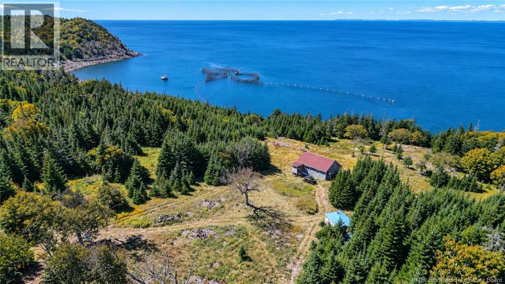 Off Route 776, Grand Manan, New Brunswick E5G 3H8 - Photo 3 - NB149855