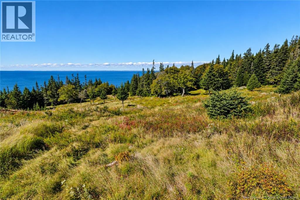Off Route 776, Grand Manan, New Brunswick E5G 3H8 - Photo 34 - NB149855