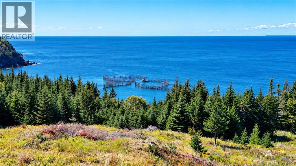 Off Route 776, Grand Manan, New Brunswick E5G 3H8 - Photo 35 - NB149855