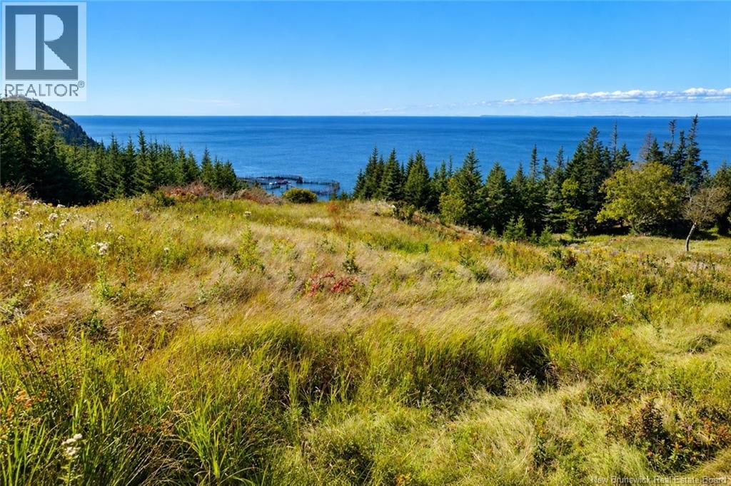 Off Route 776, Grand Manan, New Brunswick E5G 3H8 - Photo 37 - NB149855