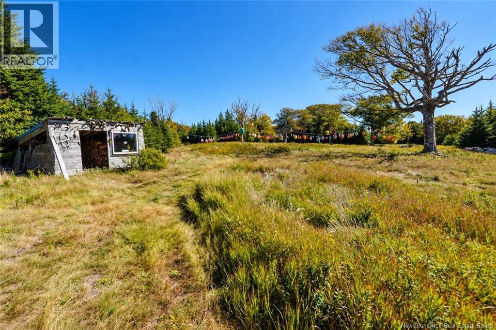 Off Route 776, Grand Manan, New Brunswick E5G 3H8 - Photo 38 - NB149855