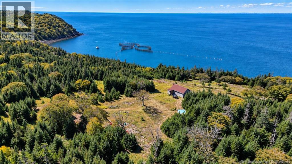 Off Route 776, Grand Manan, New Brunswick E5G 3H8 - Photo 40 - NB149855